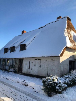 Ferienwohnungen im Reetdachhaus